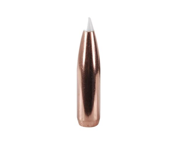 Nosler Bullets 25 Caliber (.257 Diameter) 110 Gr. AccuBond Bonded Spitzer Boat Tail- Box of 50