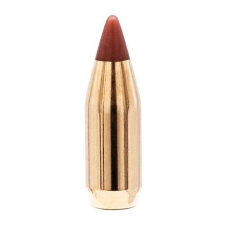 Hornady Bullets .17 Caliber (.172 Diameter) 15.5 Gr. Varmint NTX- Lead-Free- Box of 100