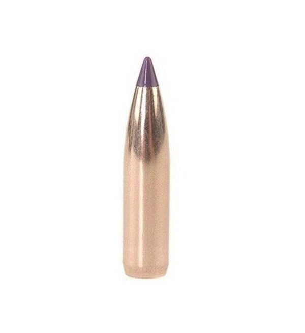 Nosler Bullets .243 Caliber / 6mm (.243 Diameter) 95 Gr. Ballistic Tip Hunting Spitzer Boat Tail- Box of 50
