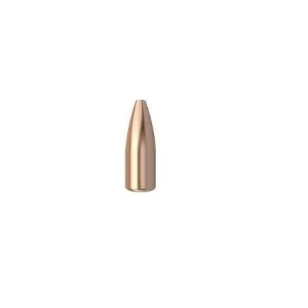Nosler Bullets .17 Caliber (.172 Diameter) 20 Gr. Varmageddon Flat Base Hollow Point- Box of 250