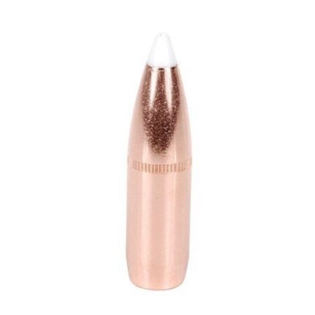 Nosler Bullets .375 Caliber (.375 Diameter) 300 Gr. AccuBond Bonded Spitzer Boat Tail with Cannelure- Box of 50