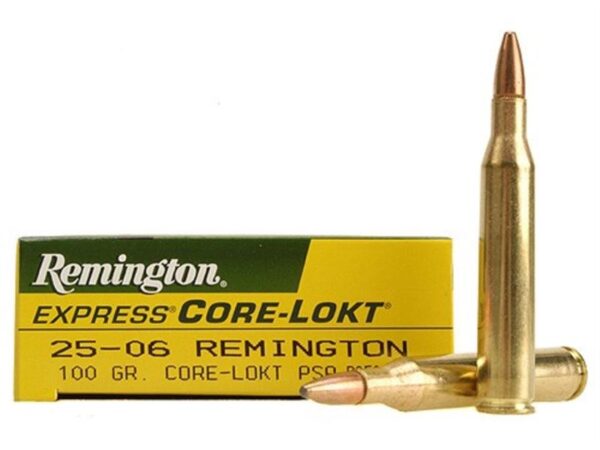 Remington Express .25-06 Remington 100 Gr. Core-Lokt Pointed Soft Point- Box of 20