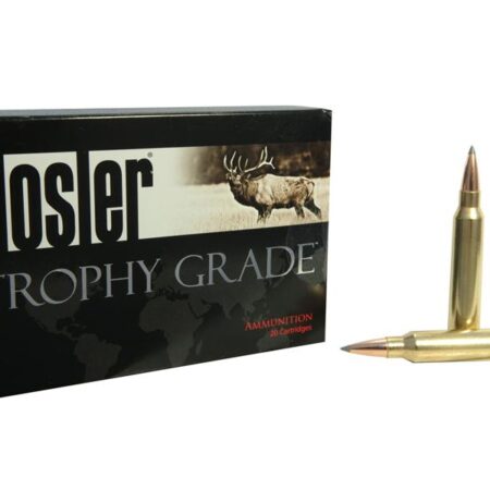 Nosler Trophy Grade .300 Winchester Magnum 190 Gr. AccuBond Long Range- Box of 20