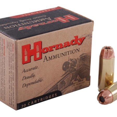 Hornady Custom .50 Action Express 300 Gr. Jacketed Hollow Point- Box of 20