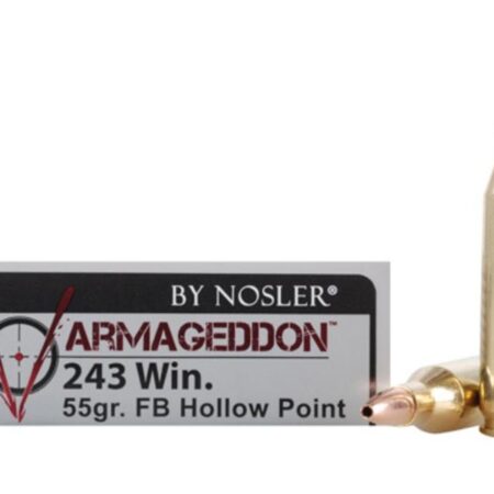 Nosler Varmageddon .243 Winchester 55 Gr. Hollow Point Flat Base- Box of 20