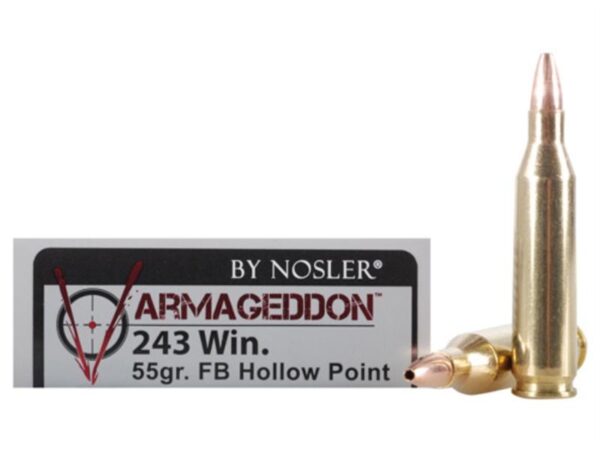 Nosler Varmageddon .243 Winchester 55 Gr. Hollow Point Flat Base- Box of 20