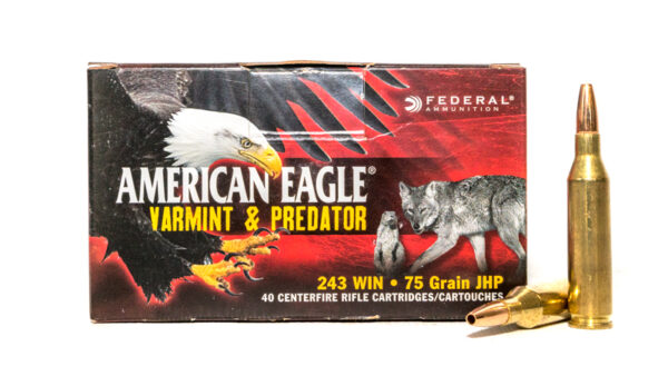 Federal American Eagle Varmint & Predator .243 Winchester 75 Gr. Jacketed Hollow Point- Box of 40