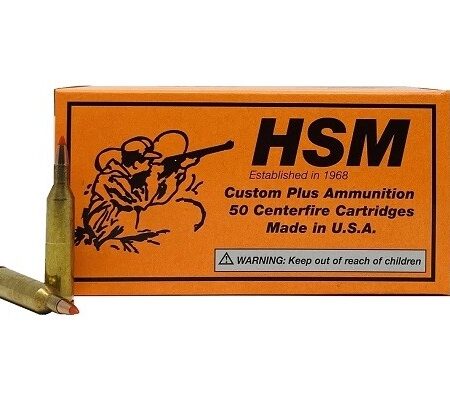 HSM .17 Remington 20 Gr. Hornady V-Max- Box of 50