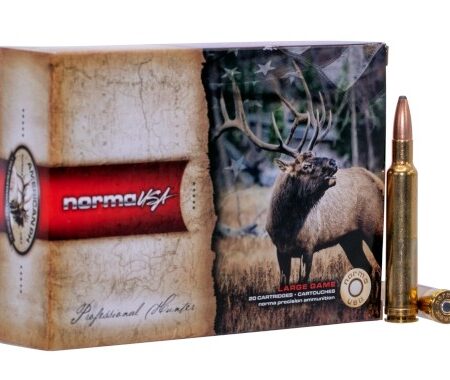 Norma USA .300 Weatherby Magnum 165 Gr. Oryx Protected Point- Box of 20