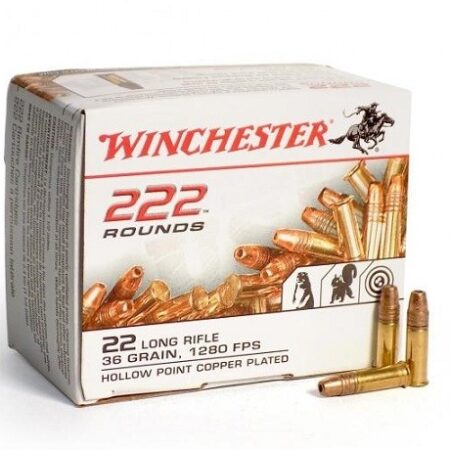 Winchester .22 Long Rifle 36 Gr. Plated Lead Hollow Point- Box of 222