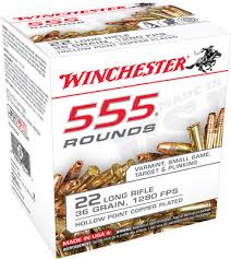 Winchester .22 Long Rifle 36 Gr. Plated Lead Hollow Point- Box of 555