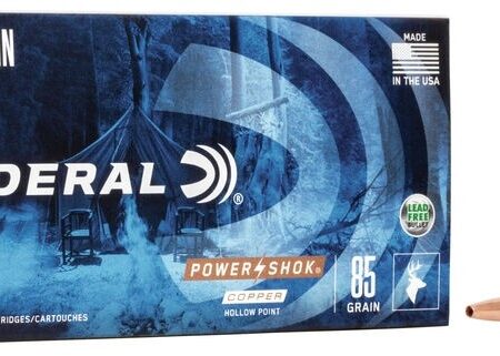 Federal Power-Shok .243 Winchester 85 Gr. Copper Hollow Point- Lead-Free- Box of 20
