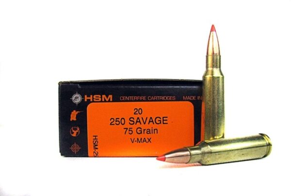 HSM Factory Blemish .250 Savage (.250-3000) 75 Gr. Hornady V-Max- Box of 20