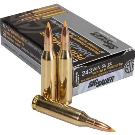 SIG SAUER Elite Performance Premium Grade .243 Win 55 Gr. Varmint & Predator Tip- Box of 20