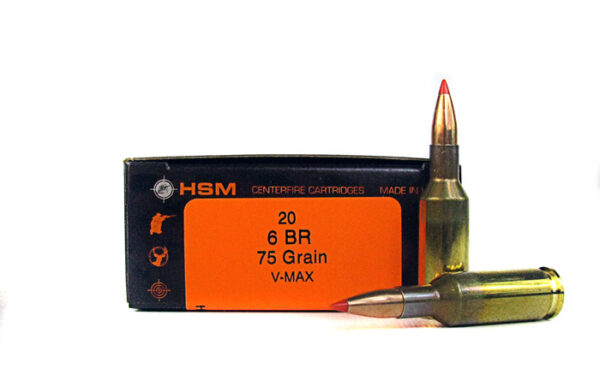 HSM 6mm BR 75 Gr. Hornady V-Max- Box of 20