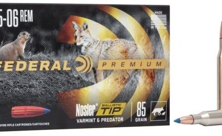 Federal Premium .25-06 Remington 85 Gr. Nosler Ballistic Tip Varmint- Box of 20