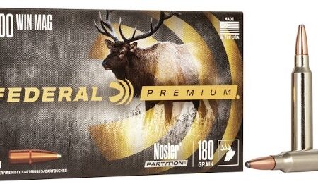 Federal Premium .300 Winchester Magnum 180 Gr. Nosler Partition- Box of 20