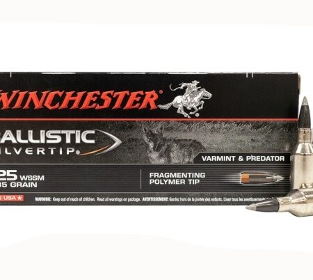 Winchester Ballistic Silvertip .25 Winchester Super Short Magnum (WSSM) 85 Gr. Fragmenting Polymer Tip- Box of 20