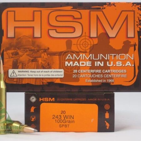 HSM Factory Blemish .243 Winchester 100 Gr. Soft Point Boat Tail- Box of 20