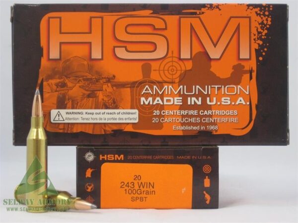 HSM Factory Blemish .243 Winchester 100 Gr. Soft Point Boat Tail- Box of 20