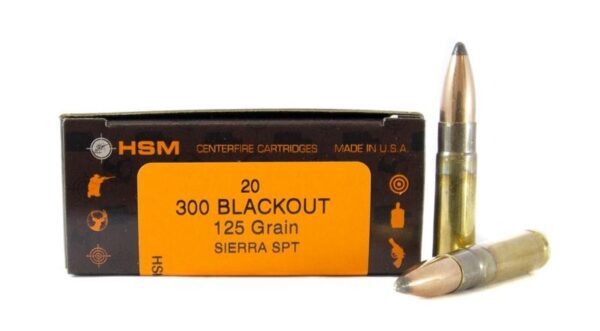 HSM Factory Blemish .300 AAC Blackout 125 Gr. Sierra Pro Hunter Soft Point- Box of 20
