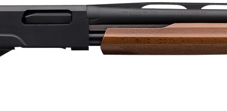 Winchester Repeating Arms 512367603 SXP Field Youth 20 Gauge 22" 5+1 3" Matte Black Rec/Barrel Satin Walnut Stock Right Hand Includes 3 Invector-Plus Chokes