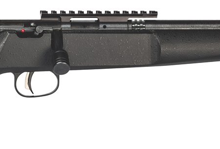 Savage Arms 13823 Rascal Target Youth 22 LR 1rd 16.12" Matte Black Threaded Barrel, Matte Black Picatinny Rail Carbon Steel Receiver, Matte Black Fixed Wood Stock, Right Hand