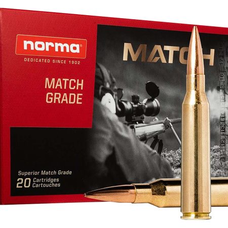 Norma Ammunition 20185272 Dedicated Precision Golden Target Match 338NormaMag 300gr 20 Per Box/10 Case