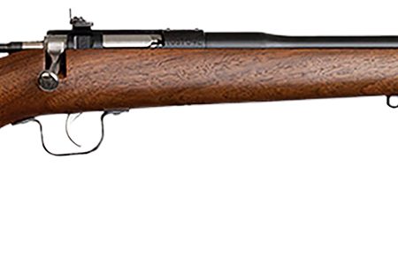 Chipmunk 00001 Youth  22 LR 1rd 16.13" Blued Steel Barrel & Receiver, American Walnut Fixed Wood Stock