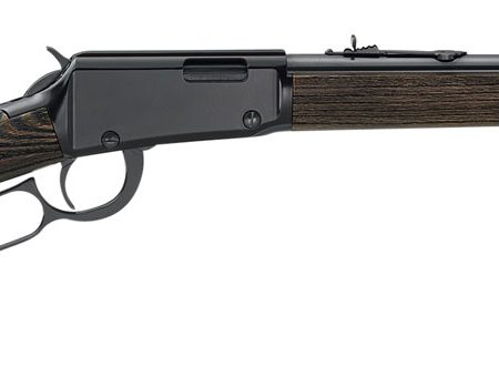 Henry H001GG Garden Gun Smoothbore Full Size 22 LR/Shotshell 15+1 18.50" Smooth Bore Barrel, Black Metal Finish, Black Ash Stock Right Hand