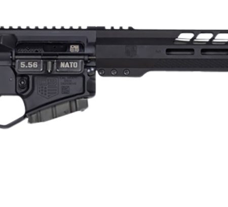 Diamondback DB1791K001 DB15 *CA Compliant 5.56x45mm NATO 16" 10+1 Black Adjustable Magpul CTR Stock Black Magpul MOE K2 Grip with Black Gold Lower