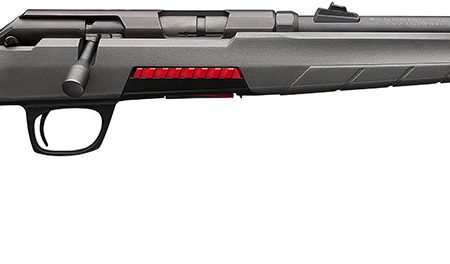 Winchester Repeating Arms 525200102 Xpert  22 LR 10+1 18", Matte Black Barrel/Rec, Gray Fixed Skeletonized Stock, Detachable Mag