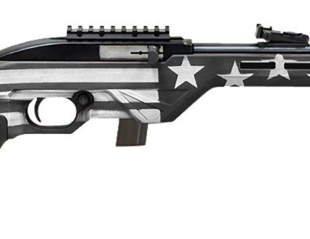 Citadel CIT22LRBUSG Trakr  22 LR 10+1 18" Blued Steel Threaded Barrel & Receiver, Gray Flag Synthetic Stock