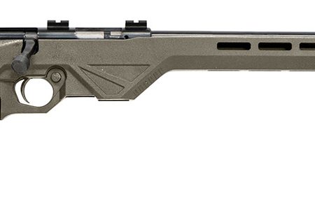Citadel CIT22WMBLTFDE Trakr  22 WMR 5+1 18" Blued Steel Barrel & Receiver, Flat Dark Earth Synthetic Stock