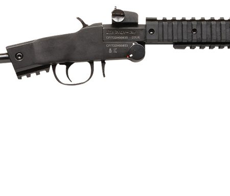 Chiappa Firearms 500265 Little Badger Xtreme Full Size 22 LR 1 Shot, 16.50" Black Steel Threaded Barrel, Black Quad Picatinny Receiver, Black Folding Steel Rod Stock, Right Hand