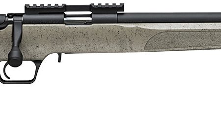 Springfield Armory BART92022TBW Model 2020 Rimfire Target 22 LR 10+1 20" Matte Blued Heavy Threaded Barrel, Matte Blued Picatinny Rail Steel Receiver, Fixed Sage w/Black Webbing Synthetic Stock