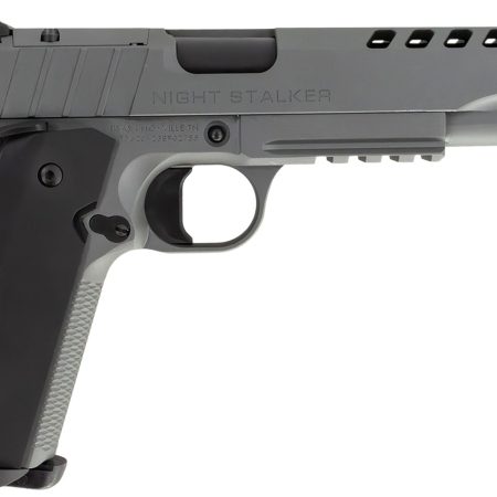Tisas 10100558 1911 Night Stalker SF 10mm Auto 8+1, 5" Black Steel Threaded Barrel, Platinum Gray Cerakote Serrated w/Slide Cuts Steel Slide & Steel Frame w/Beavertail & Picatinny Rail, Ambidextrous