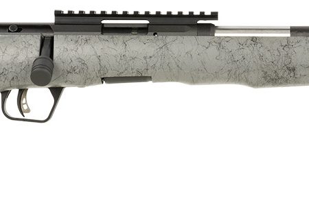 Savage Arms 70818 B Series TimberLite 17 HMR 10+1 18" Black Threaded Carbon Fiber/SS Barrel, Black Picatinny Rail Steel Receiver, Gray w/Black Webbing Synthetic Fixed Thumbhole Stock