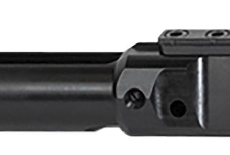 Odin Works ACC308BCG Bolt Carrier Group  Black Nitride AR-10