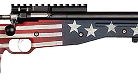 Crickett KSA2150-OG Precision  Full Size 22 LR Single Shot 16.10" Blued Threaded Bull Barrel, Blued Crickettinny Rail Steel Receiver, Old Glory Synthetic Adj LOP Stock
