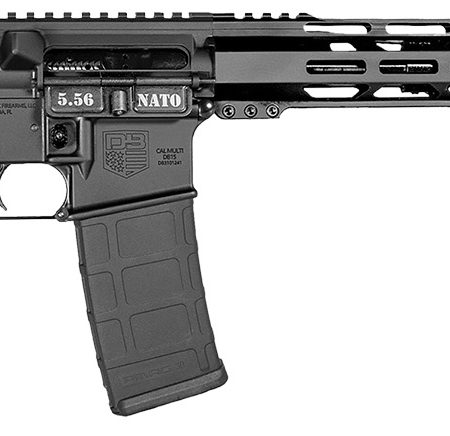 Diamondback DB175AK003 DB15  5.56 NATO 30+1 Black Nitride Black Hardcoat Anodize Aluminum Receiver, 12" M-LOK Handguard, Black A2 Grip