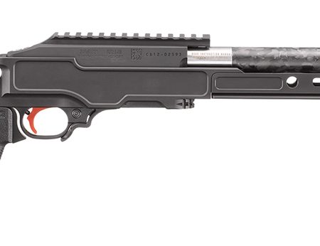 RUG 31230 10/22 22LR COMP 10.10 GRYBIRCH