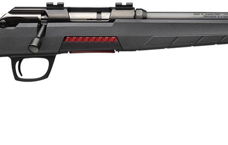 Winchester Repeating Arms 525200270 Xpert  Full Size 17 HMR 8+1 18" Matte Black Threaded Sporter Barrel, Drilled & Tapped Steel Receiver, Gray Synthetic Adj Cheek Piece & LOP Stock