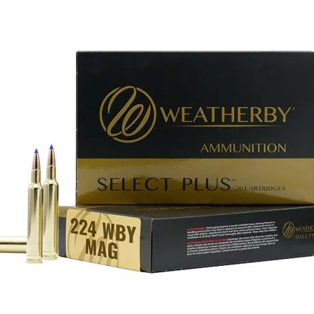 Weatherby R224805FBT   224WthbyMag 80.5gr 20 Per Box/10 Case