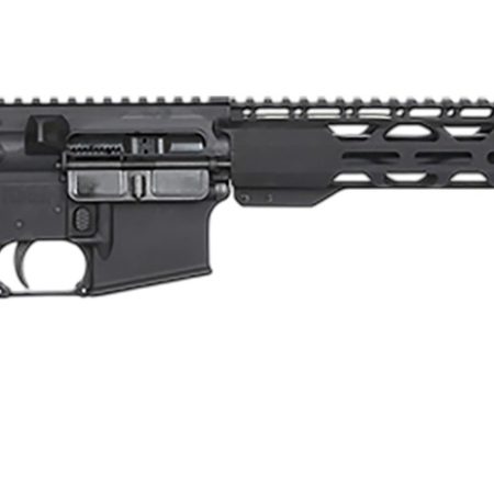 Radical Firearms  RPR  300 Blackout 16" M-LOK Handguard