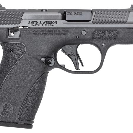 S&W BODYGRD 2.0 PC 14418 380 3.1     2X10R GRY/BLK