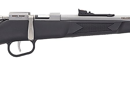 Henry H005R Mini Bolt  Youth 22 S/L/LR 1rd 16.25" Matte Stainless Steel Barrel, Matte Drilled & Tapped Stainless Steel Receiver, Black Fixed w/Pistol Grip Synthetic Stock, Right Hand