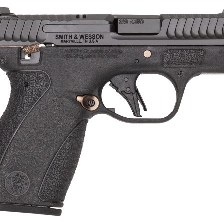 S&W BODYGRD 2.0  380ACP  14660 TS RGPVD