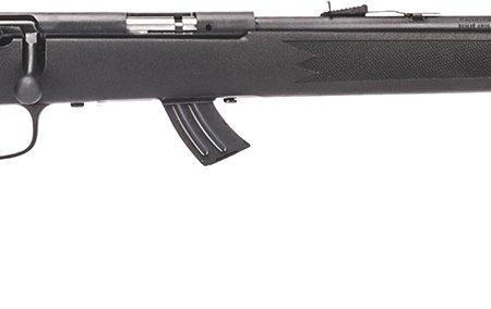 Savage Arms 26702 Mark II F Full Size 17 HM2 10+1 21" Matte Black Button Rifled Barrel, Matte Black Drilled & Tapped Carbon Steel Receiver, Matte Black Fixed Synthetic Stock, Right Hand