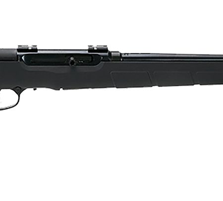 Savage Arms 47200 A22 Target Sporter Full Size 22 LR 10+1 22" High Luster Button Rifled Barrel, High Luster Drilled & Tapped Carbon Steel Receiver, Matte Black Fixed Synthetic Stock, Right Hand